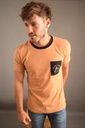 REMERA DINAMARCA